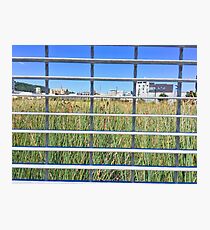 Grass Through The Grate Photographic Print