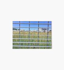 Grass Through The Grate Art Board
