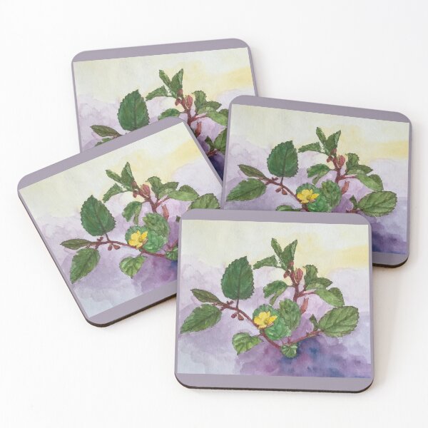Item preview, Vietnam Botanical Plant Illustration 11 designed and sold by tuyetstudio.