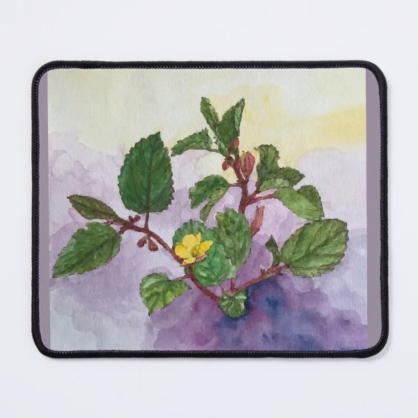 Item preview, Vietnam Botanical Plant Illustration 11 designed and sold by tuyetstudio.