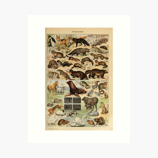 Item preview, furry creatures botanical print designed and sold by PixelArtsForge.