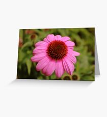 Pink Flower Head Greeting Card