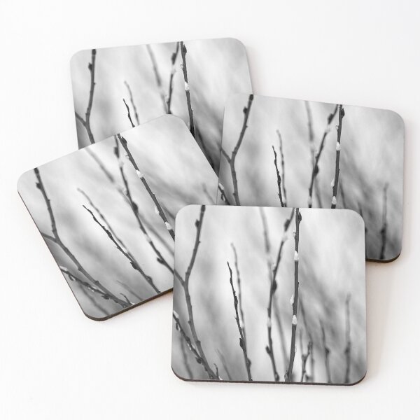 Item preview, Too early this year. Willow catkins 2 bw designed and sold by Jouko Lehto Photography.