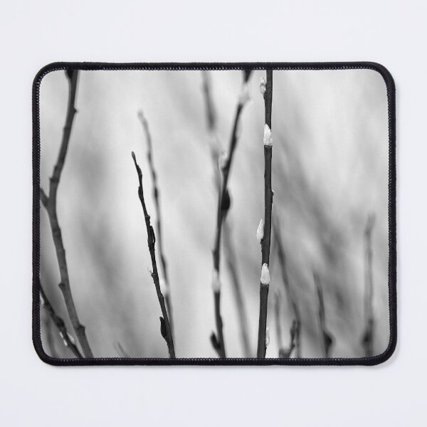 Item preview, Too early this year. Willow catkins 2 bw designed and sold by Jouko Lehto Photography.