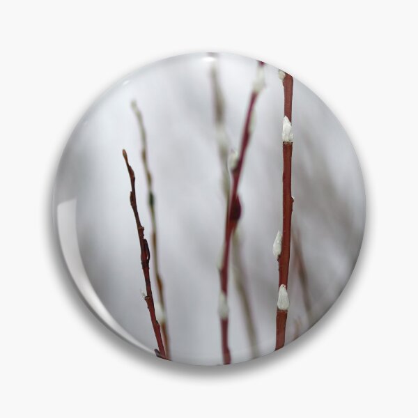 Item preview, Too early this year. Willow catkins 1 designed and sold by Jouko Lehto Photography.