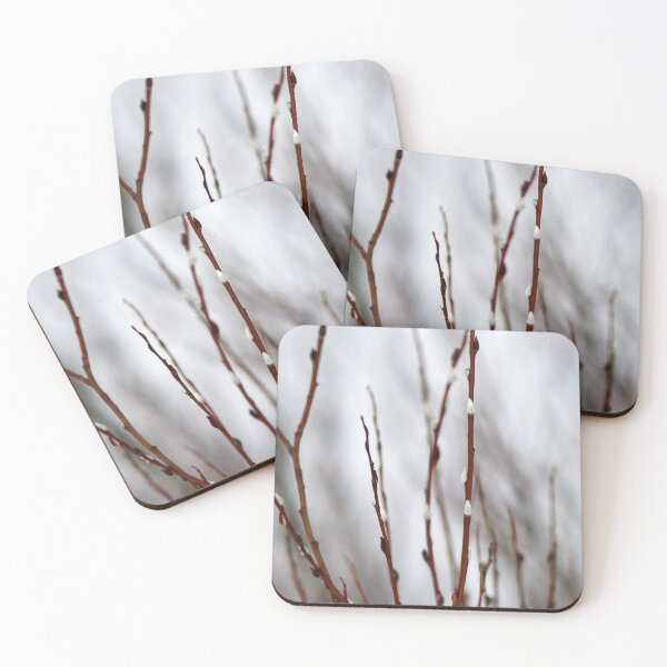 Item preview, Too early this year. Willow catkins 1 designed and sold by Jouko Lehto Photography.