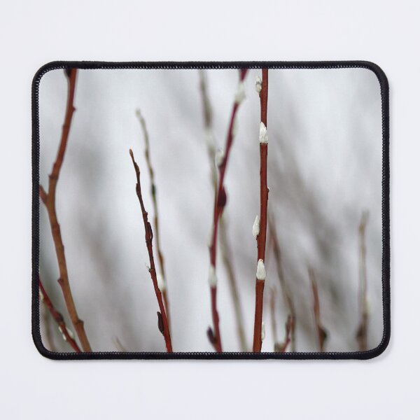 Item preview, Too early this year. Willow catkins 1 designed and sold by Jouko Lehto Photography.