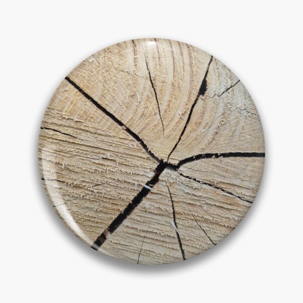 Item preview, Cross Section of a Tree Trunk designed and sold by Gaboro.