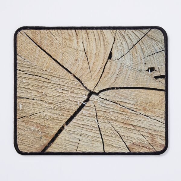 Item preview, Cross Section of a Tree Trunk designed and sold by Gaboro.