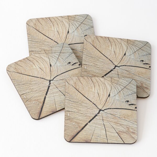 Item preview, Cross Section of a Tree Trunk designed and sold by Gaboro.