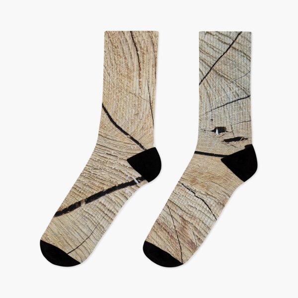 Item preview, Cross Section of a Tree Trunk designed and sold by Gaboro.