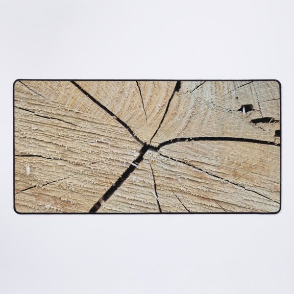 Item preview, Cross Section of a Tree Trunk designed and sold by Gaboro.