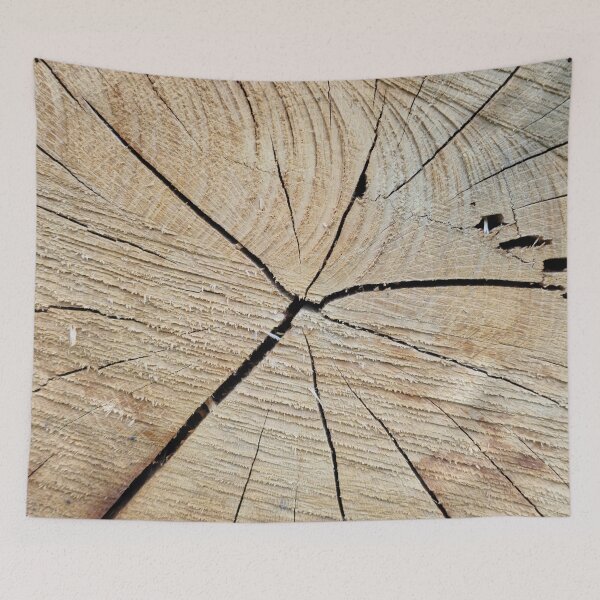 Item preview, Cross Section of a Tree Trunk designed and sold by Gaboro.