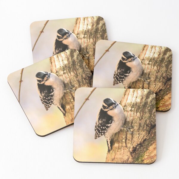 Item preview, Downy Woodpecker designed and sold by Parks and X.