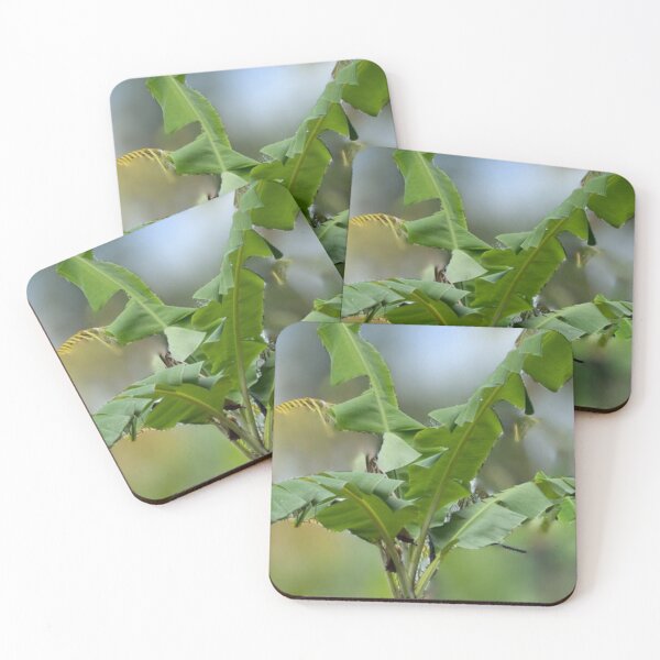 Item preview, Banana Breeze designed and sold by AnellaDShillingford.