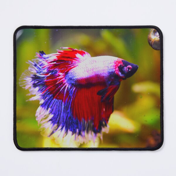 Item preview, Amazing warrior fish designed and sold by 3Spirit.