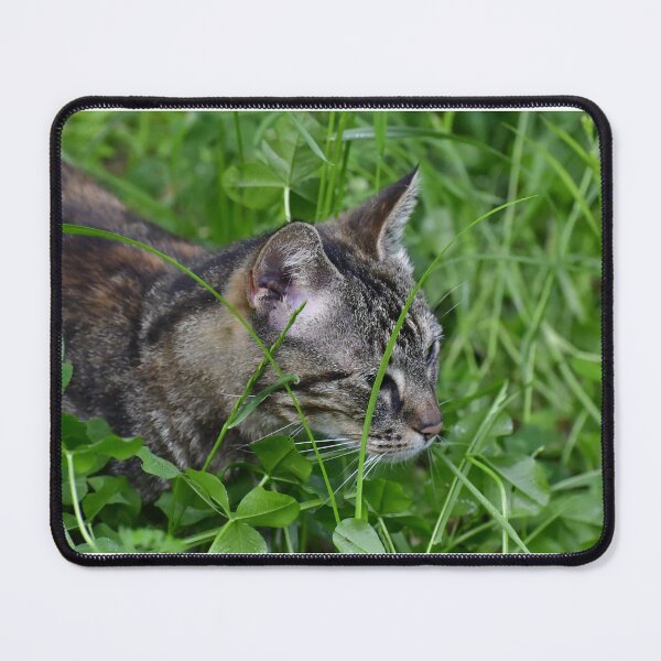 Item preview, A tabby cat hunting in the green grass and clovers designed and sold by FoxGlove5.