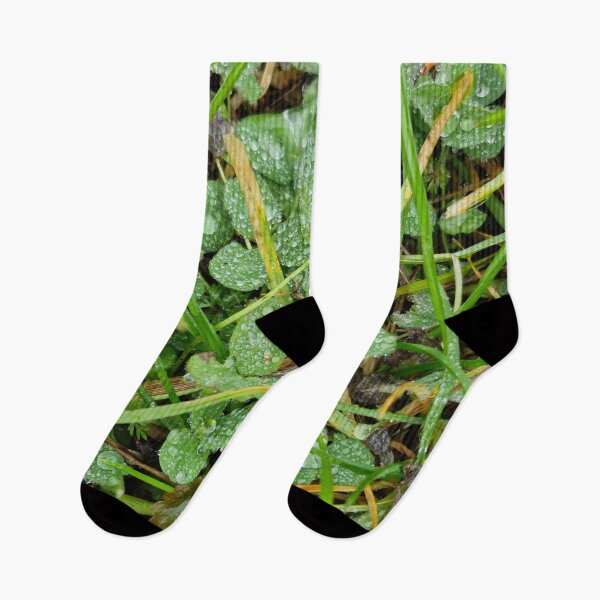 Item preview, Dew Drops on Clover and Grass in Winter designed and sold by Gaboro.