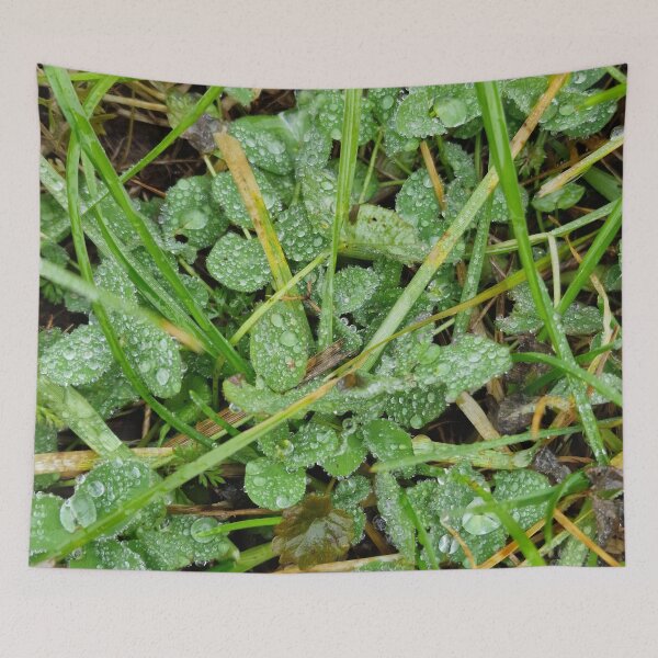 Item preview, Dew Drops on Clover and Grass in Winter designed and sold by Gaboro.