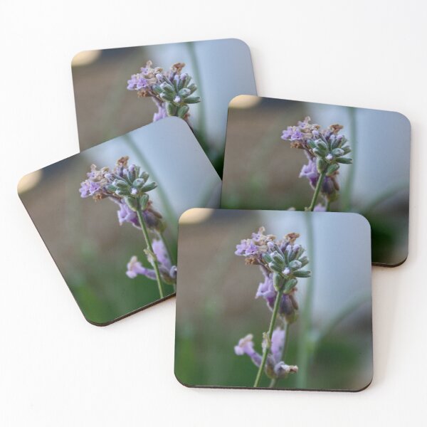 Item preview, genus Lavandula designed and sold by rubylouiseart.