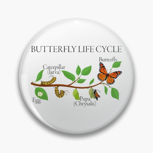 Item preview, Butterfly Life Cycle – Gift for Natural Sciences and Nature Enthusiasts designed and sold by ScienceCorner.