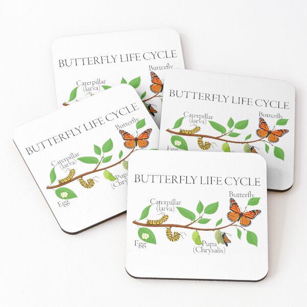Item preview, Butterfly Life Cycle – Gift for Natural Sciences and Nature Enthusiasts designed and sold by ScienceCorner.