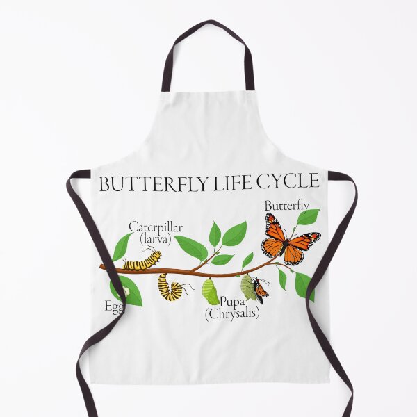 Item preview, Butterfly Life Cycle – Gift for Natural Sciences and Nature Enthusiasts designed and sold by ScienceCorner.