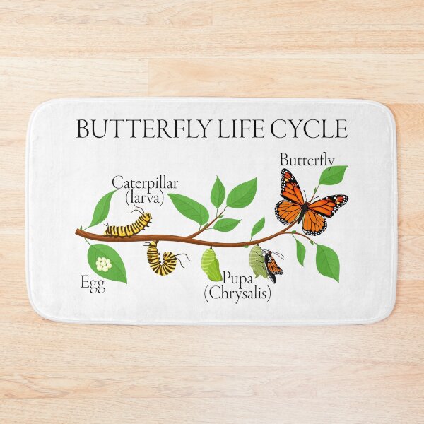 Item preview, Butterfly Life Cycle – Gift for Natural Sciences and Nature Enthusiasts designed and sold by ScienceCorner.