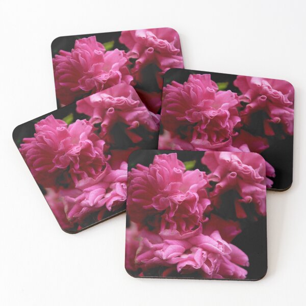 Item preview, Rosa damascena designed and sold by rubylouiseart.