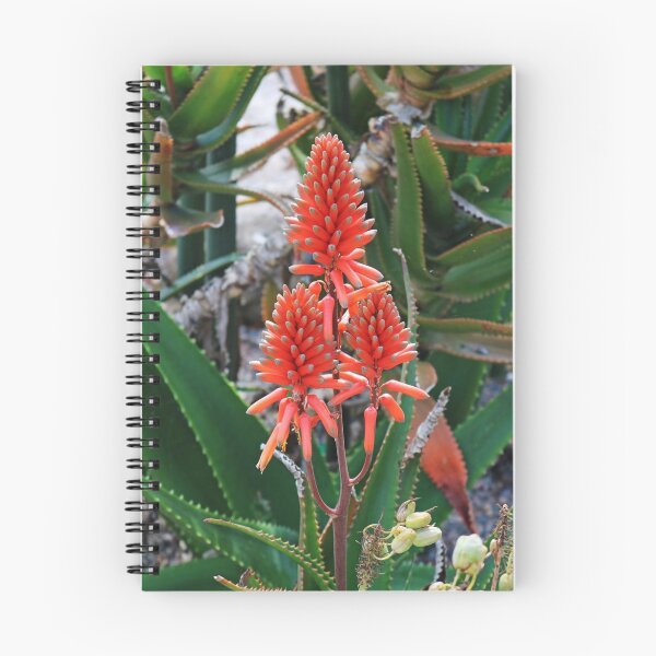 Item preview, A Season of Subtlety designed and sold by Michiale.