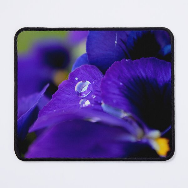 Item preview, Viola tricolour designed and sold by rubylouiseart.