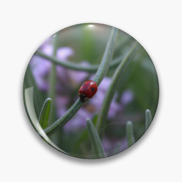Item preview, Coccinellidae designed and sold by rubylouiseart.