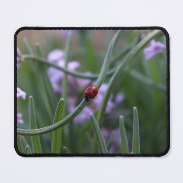Item preview, Coccinellidae designed and sold by rubylouiseart.