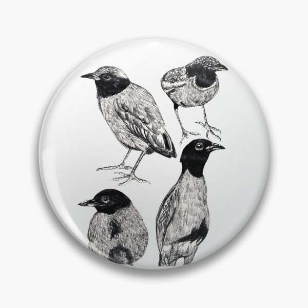 Item preview, Western Hooded Pitta designed and sold by di-Vera-Rosati.