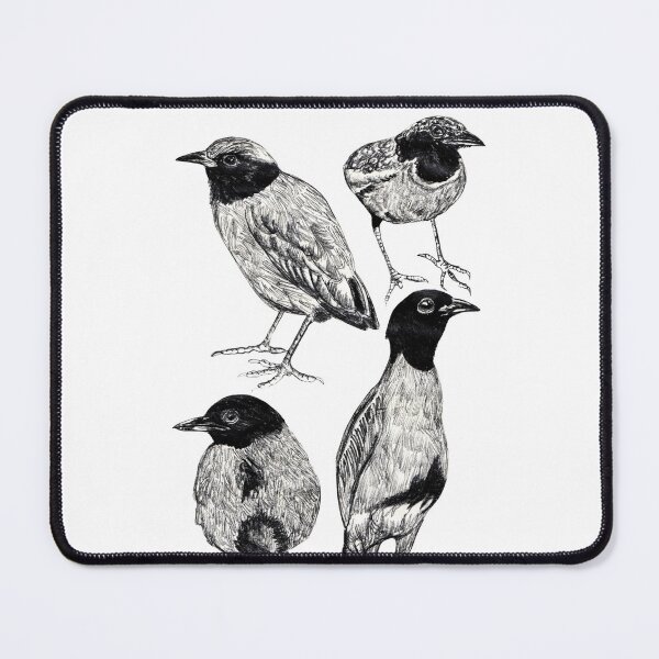 Item preview, Western Hooded Pitta designed and sold by di-Vera-Rosati.