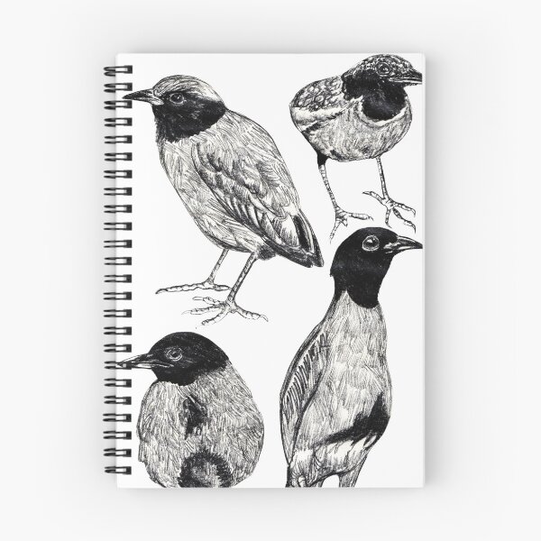 Item preview, Western Hooded Pitta designed and sold by di-Vera-Rosati.