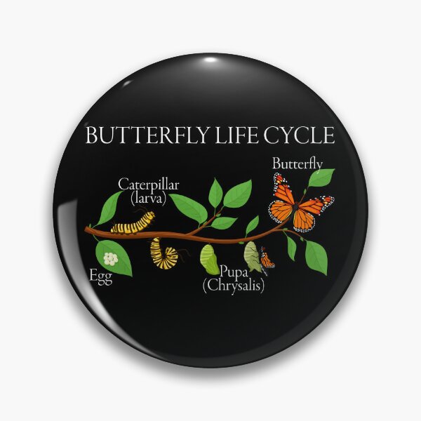 Item preview, Butterfly Life Cycle – Gift for Natural Sciences and Nature Enthusiasts designed and sold by ScienceCorner.