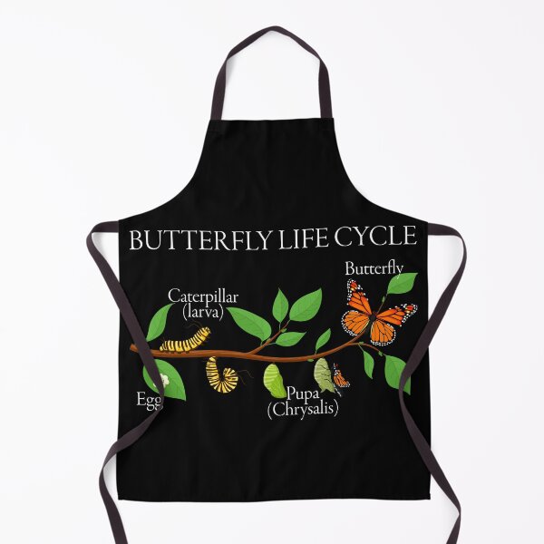 Item preview, Butterfly Life Cycle – Gift for Natural Sciences and Nature Enthusiasts designed and sold by ScienceCorner.