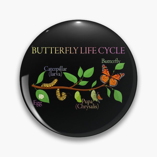 Item preview, Butterfly Life Cycle – Gift for Natural Sciences and Nature Enthusiasts designed and sold by ScienceCorner.