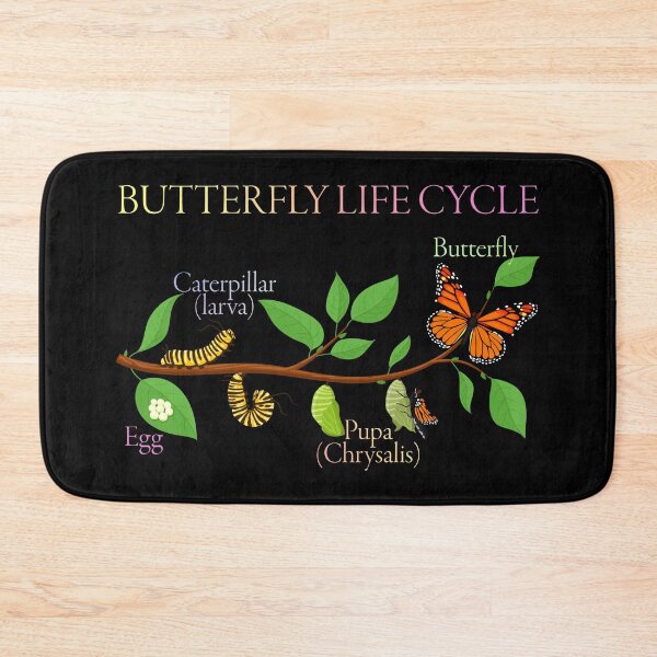Item preview, Butterfly Life Cycle – Gift for Natural Sciences and Nature Enthusiasts designed and sold by ScienceCorner.