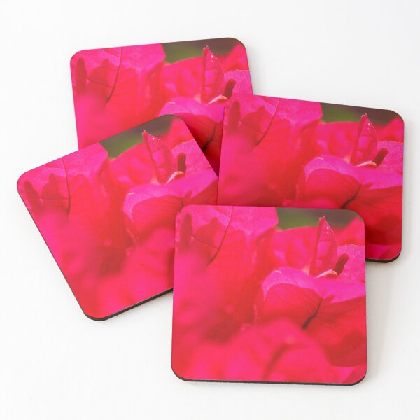 Item preview, Pink bougainvilleas designed and sold by Gaspar Avila.