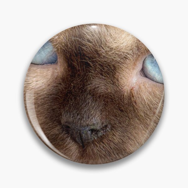 Item preview, Blue feline gaze designed and sold by Mirjustin03.