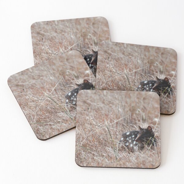 Item preview, Quoll in the grass designed and sold by notjustamwac.