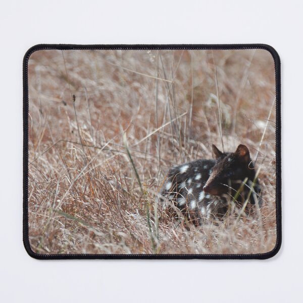 Item preview, Quoll in the grass designed and sold by notjustamwac.