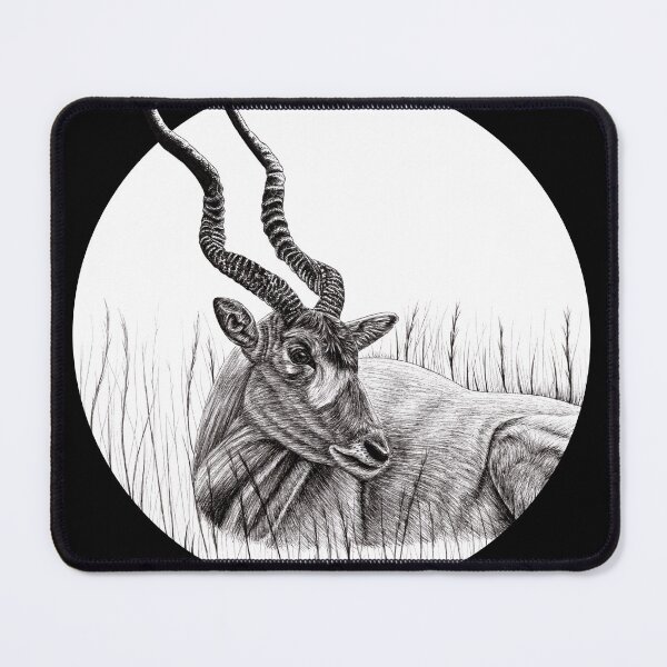 Item preview, Addax illustration designed and sold by LorenDowding.