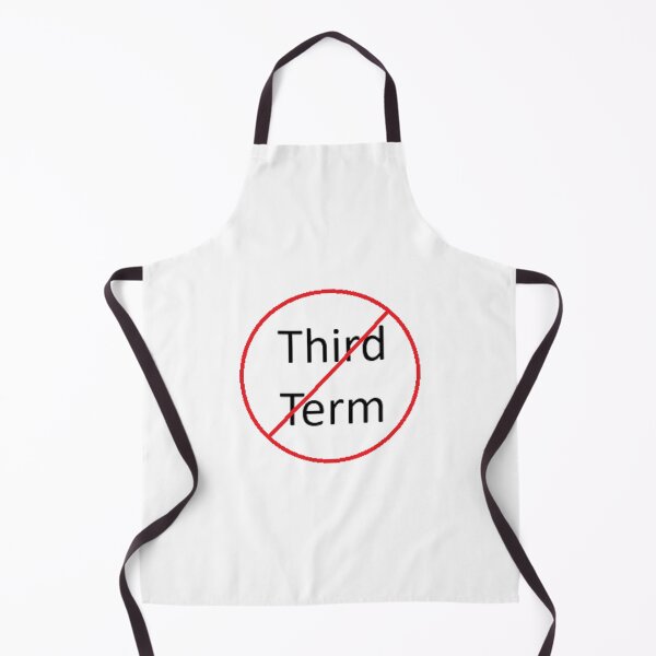 Item preview, No Third Term designed and sold by Print-Forge.