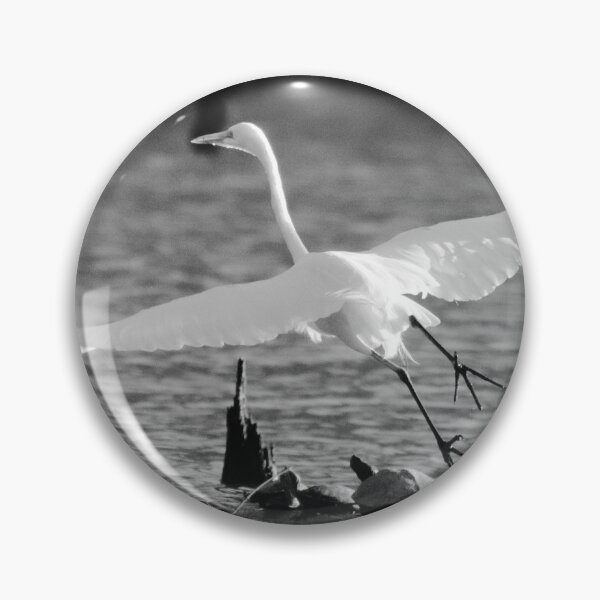 Item preview, White and black Egret designed and sold by Parks and X.