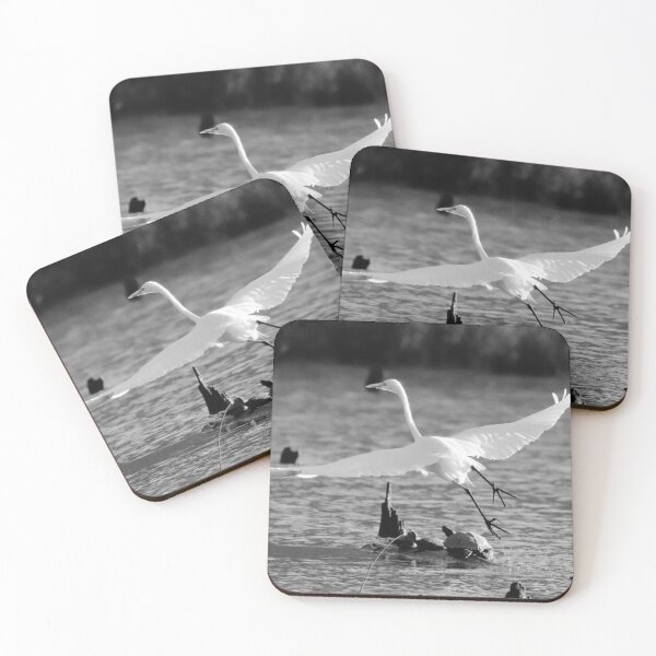 Item preview, White and black Egret designed and sold by Parks and X.