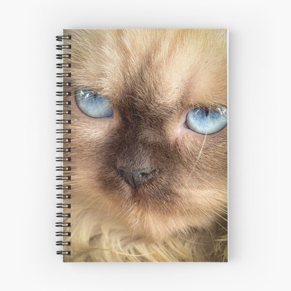 Item preview, Blue Feline Gaze designed and sold by Mirjustin03.