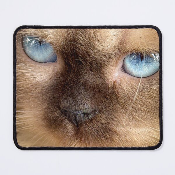 Item preview, Blue Feline Gaze designed and sold by Mirjustin03.